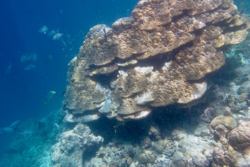 e0338303_14403813.jpg