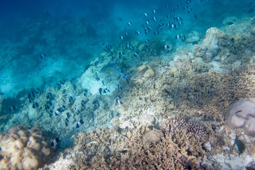 e0338303_14404812.jpg