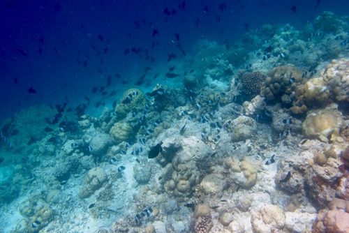 e0338303_1440946.jpg