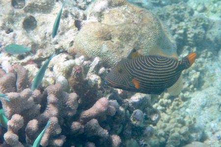 e0338303_1441173.jpg