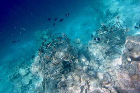 e0338303_14422183.jpg