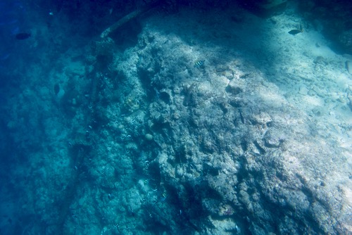 e0338303_14425321.jpg