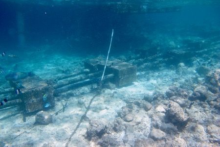 e0338303_1443215.jpg