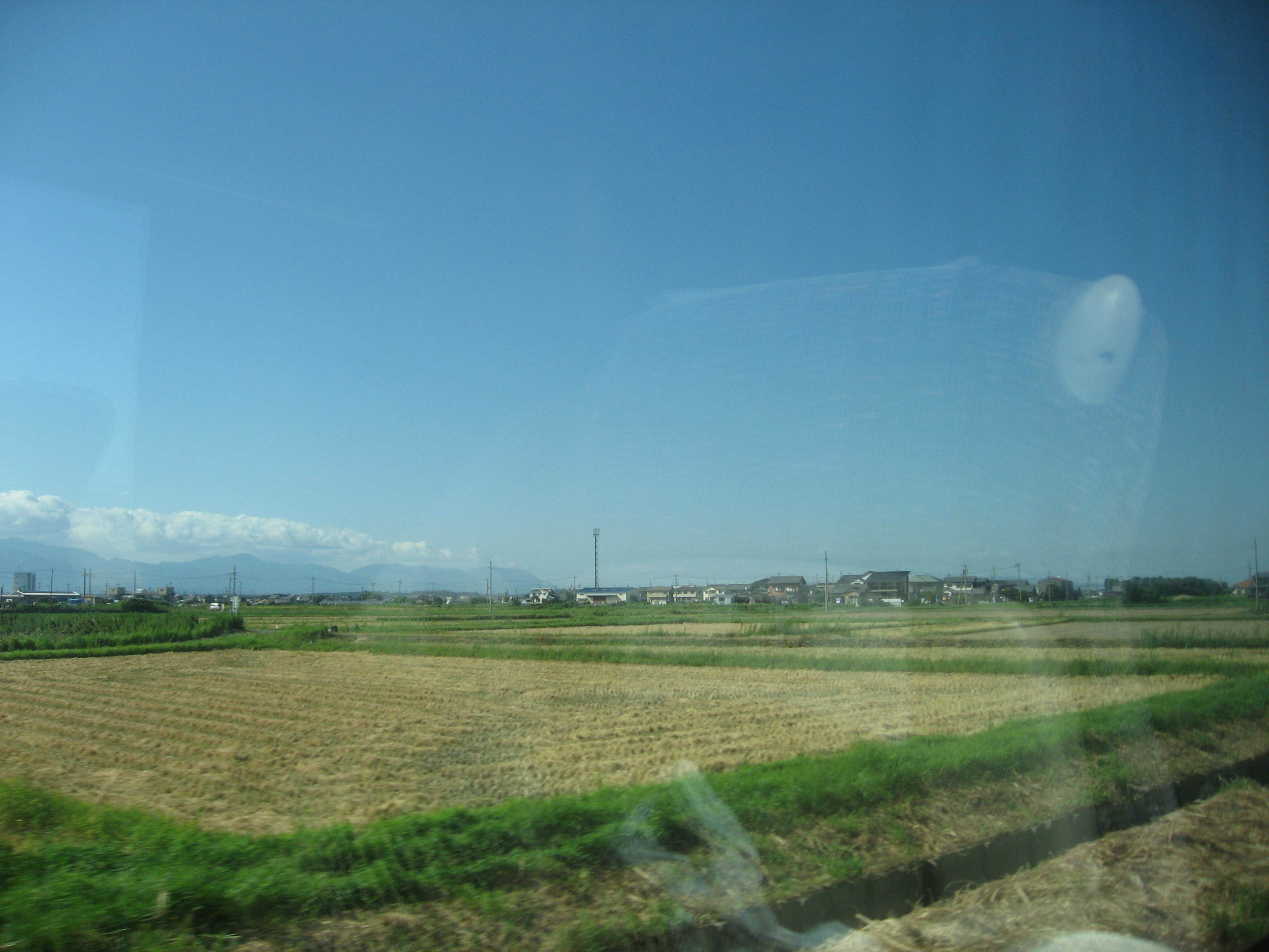 c0062511_23420716.jpg