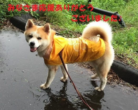 f0121712_15530083.jpeg