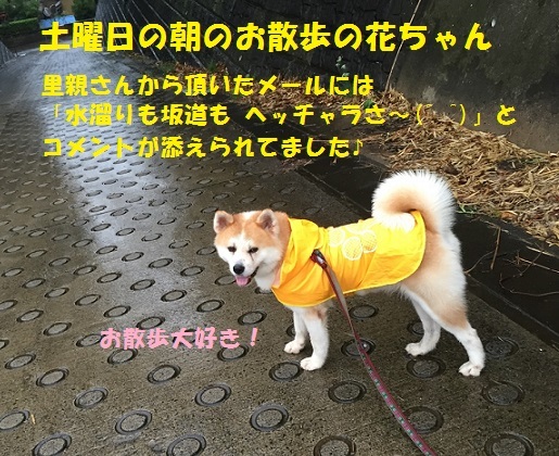 f0121712_16001155.jpeg
