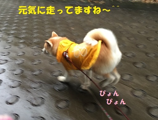 f0121712_16012984.jpeg