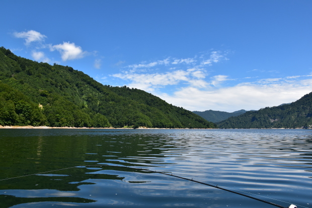 c0232813_23300129.jpg