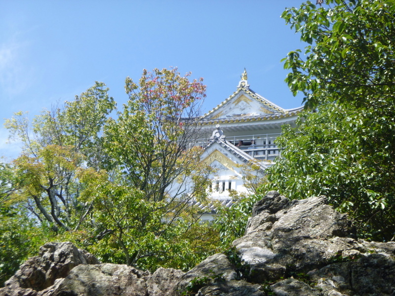 d0170615_07535940.jpg