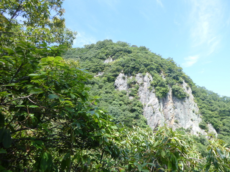 d0170615_07560076.jpg
