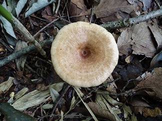 f0360815_16102533.jpg