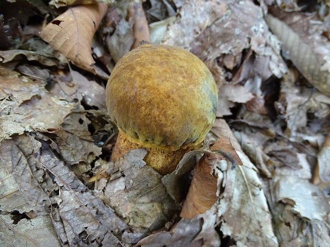 f0360815_16102721.jpg