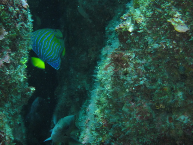d0070216_18165536.jpg