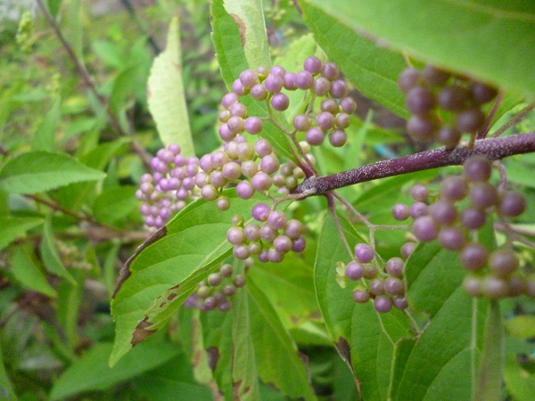 f0228619_650216.jpg