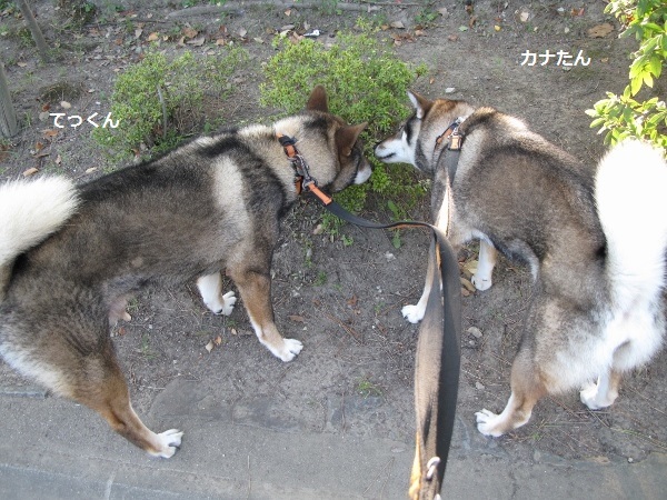 f0143123_09151509.jpg