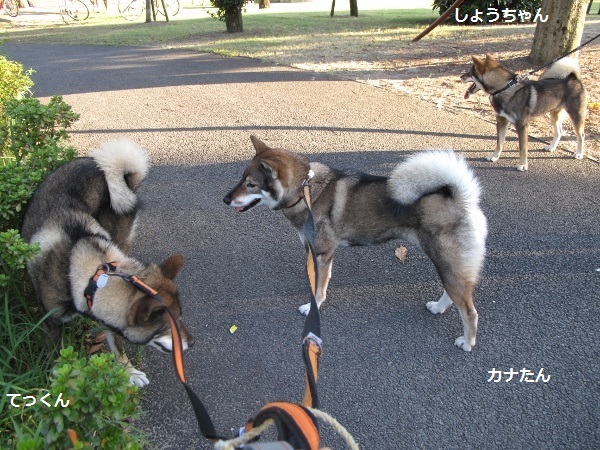 f0143123_09155860.jpg