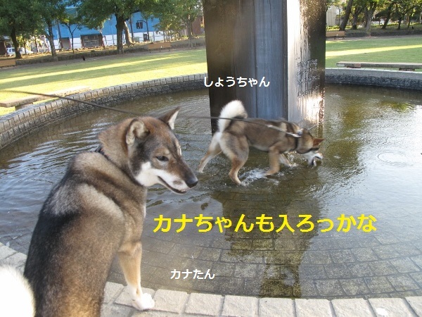 f0143123_09194324.jpg
