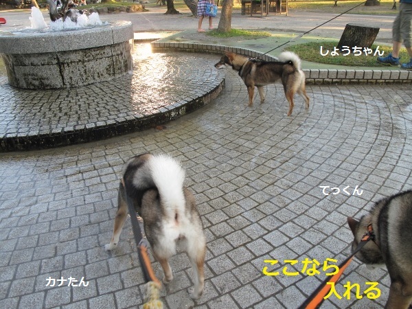 f0143123_09224179.jpg