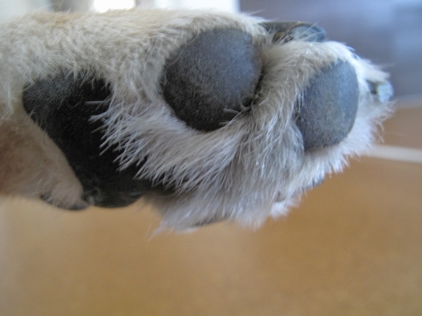 f0143123_09473399.jpg