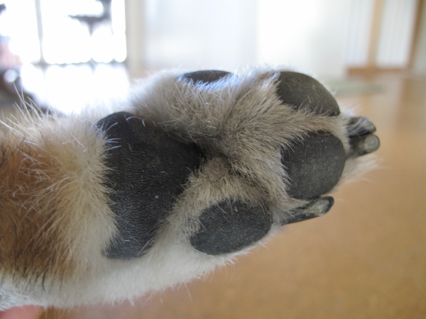 f0143123_09503949.jpg