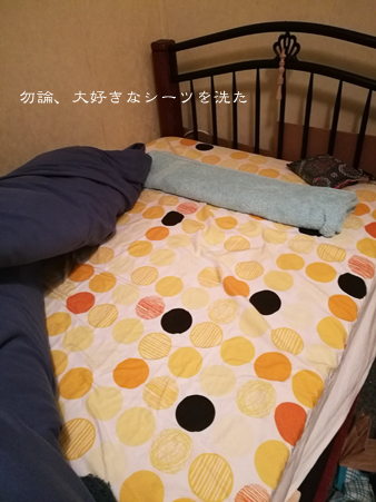 d0042827_17303877.jpg