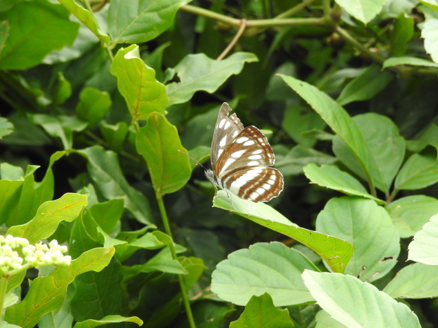 a0248728_22382754.jpg