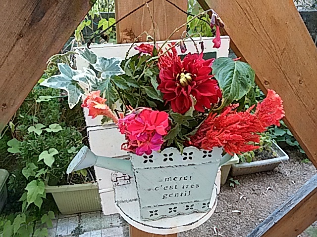 a0370028_14580995.jpg