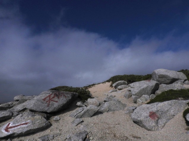 f0118332_20350488.jpg