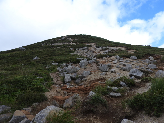 f0118332_20501632.jpg