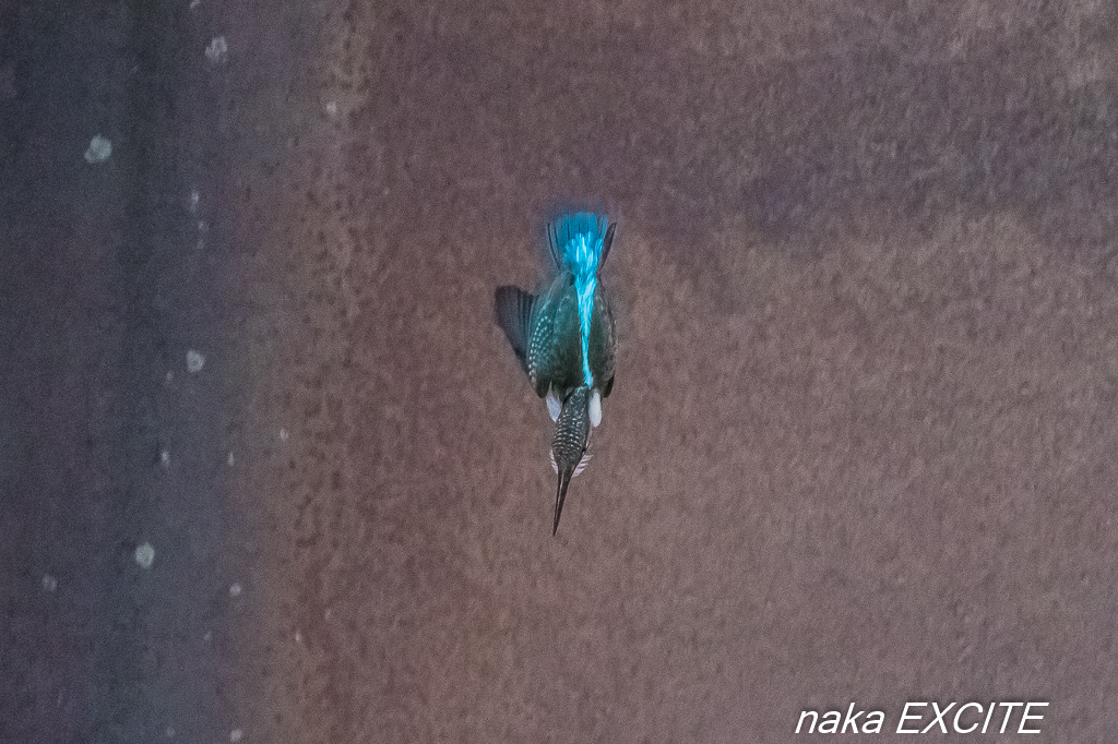 f0281533_15591165.jpg