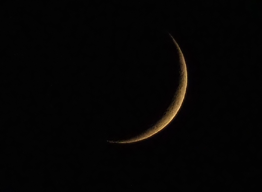 a0248540_14162476.jpg