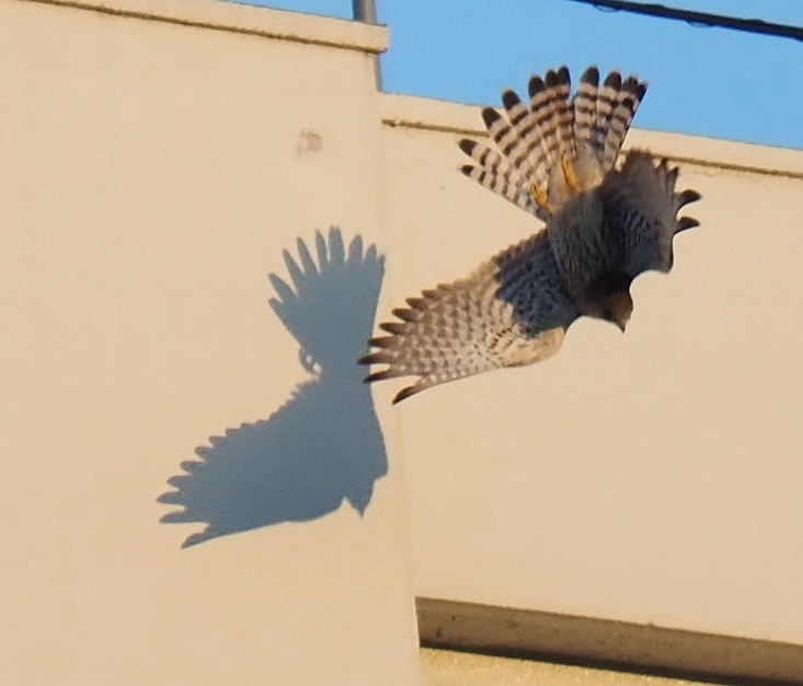 a0248540_15112758.jpg