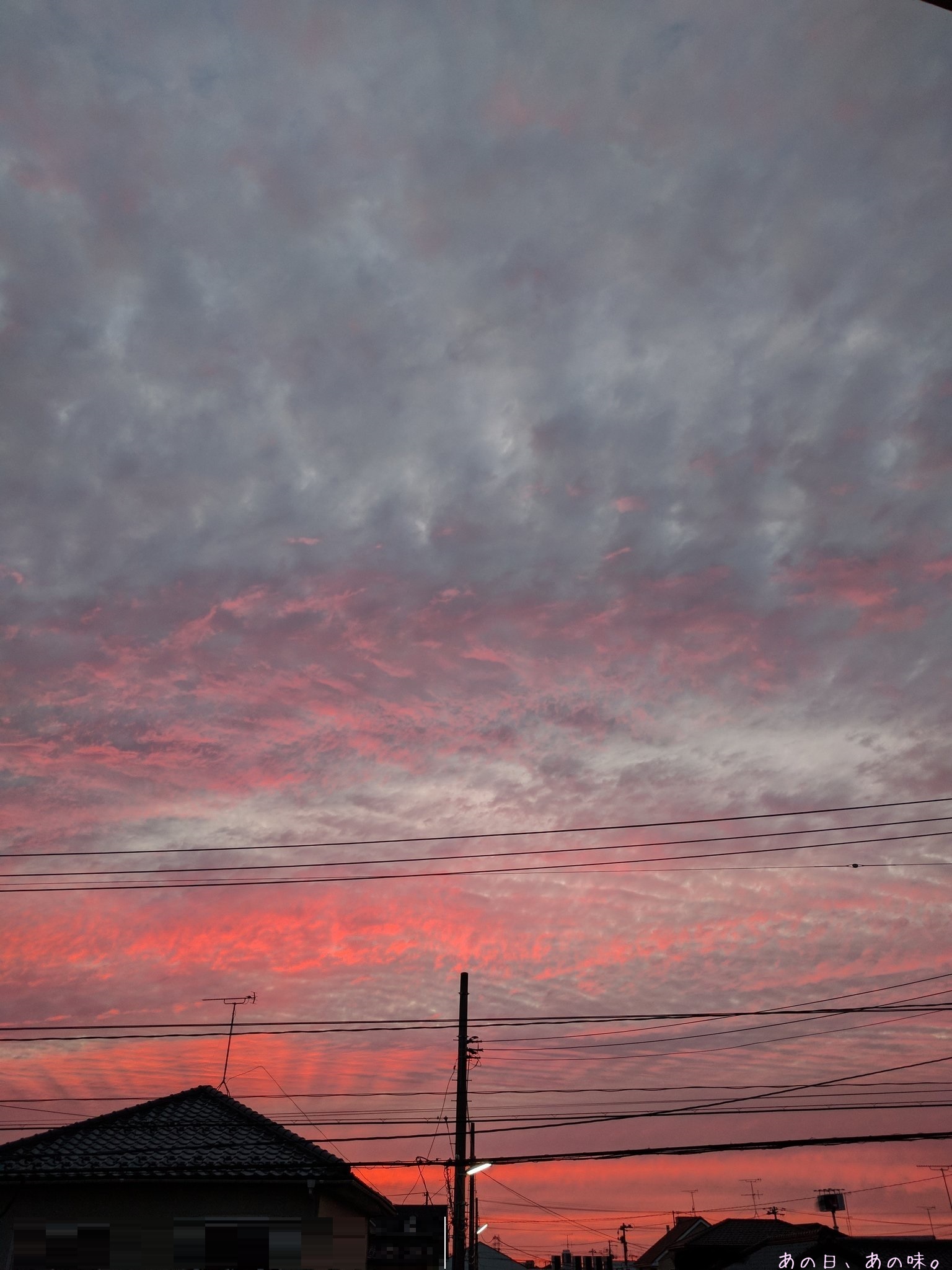 a0305046_10020373.jpg