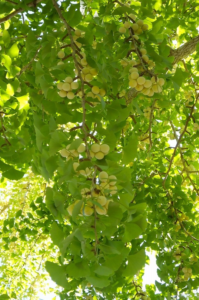 b0236251_11091403.jpg