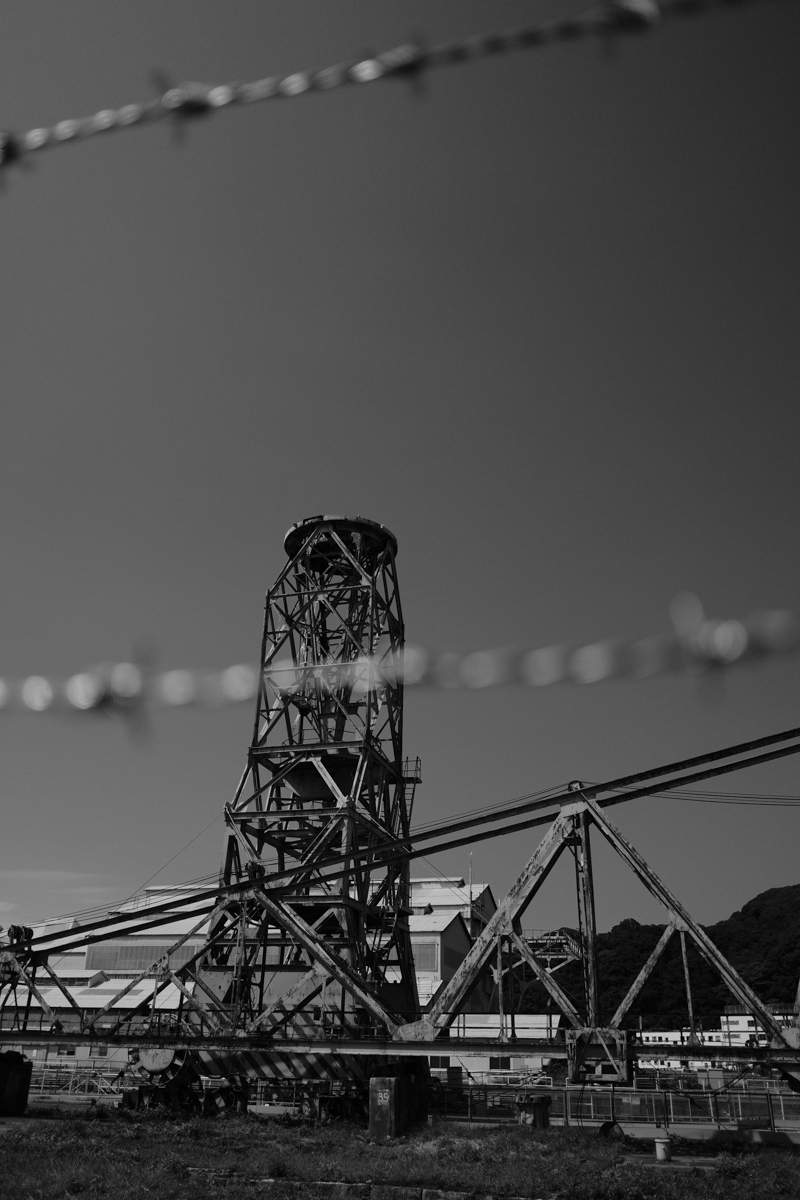c0084666_14504019.jpg
