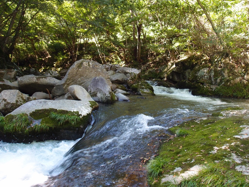 a0078772_12195418.jpg