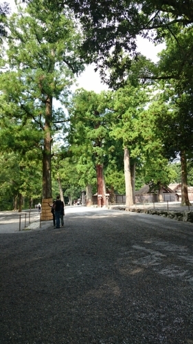 e0212073_12425646.jpg