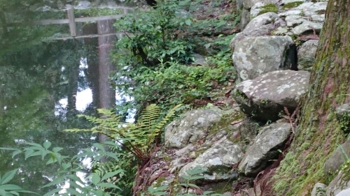 e0212073_12430378.jpg