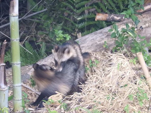 f0378979_20182077.jpg