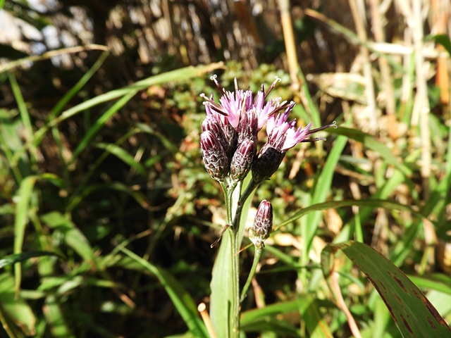 f0357487_0132421.jpg