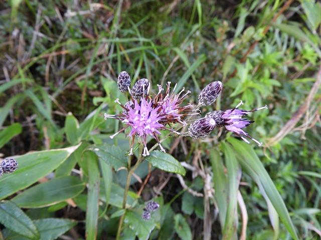 f0357487_0151710.jpg