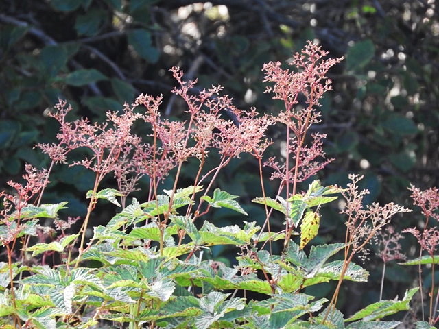 f0357487_0164520.jpg