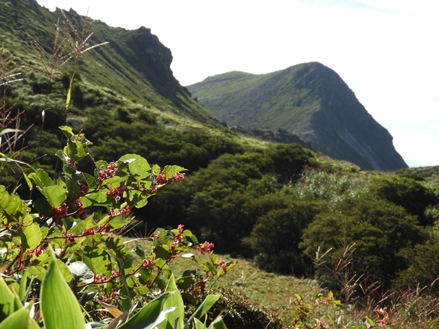 f0357487_0212213.jpg