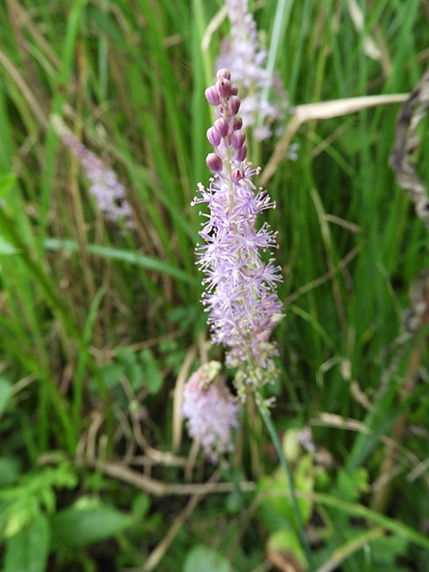 f0357487_0432919.jpg