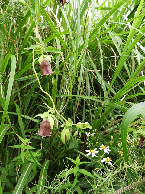 f0357487_0444264.jpg
