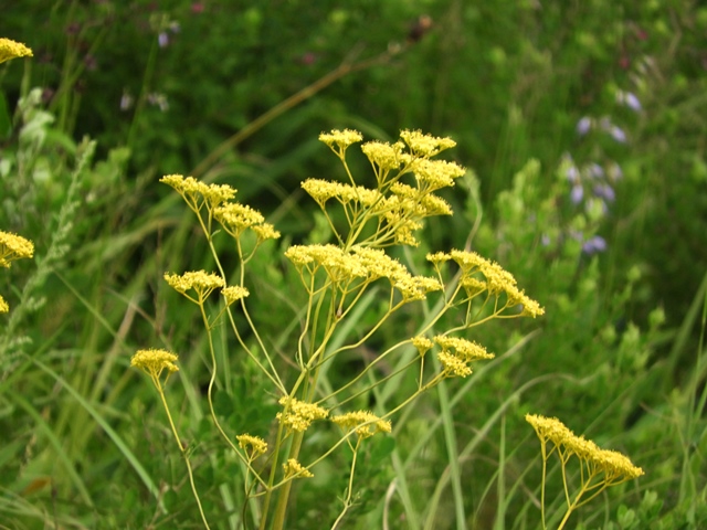 f0357487_0462159.jpg
