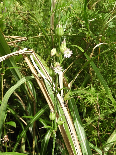 f0357487_0471531.jpg