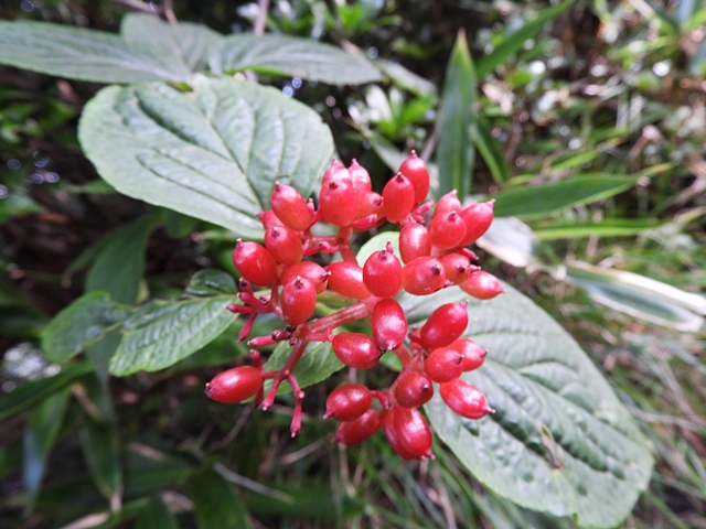 f0357487_0502297.jpg