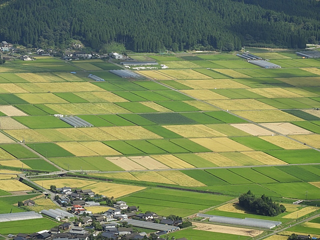 f0357487_0513058.jpg
