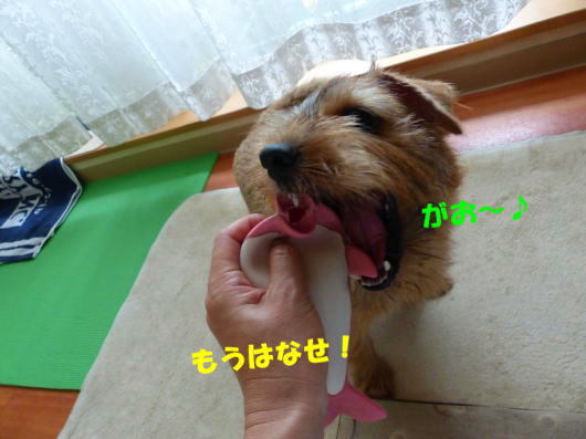 a0157892_12124124.jpg